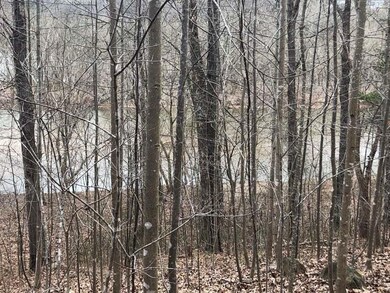 Windsor Point Loop 2
