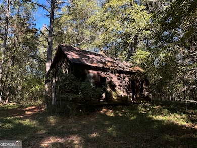 312.37 AC W Ellis Rd, Griffin, GA 30223 - photo 4