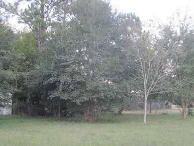 73 Fulton Dr, Alvin, TX 77511 - photo 6