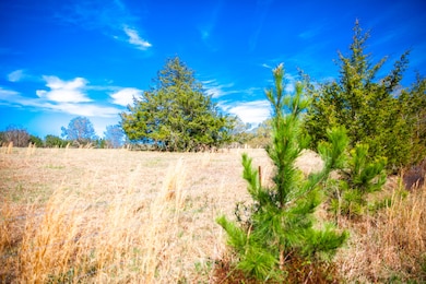 LOT 9 Mistletoe Rd, Appling, GA 30802 - photo 2