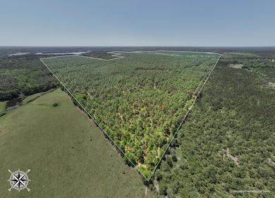 703 AC +/- Purvis To Baxterville Rd, Purvis, MS 39475 - photo 2