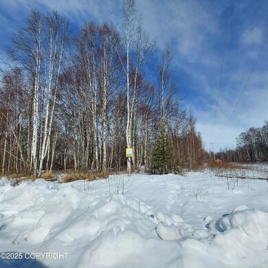L1 S Clara Cir, Talkeetna, AK 99676 - photo 6