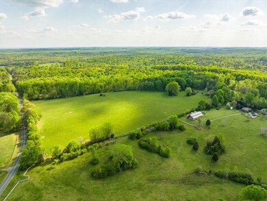 1456 Hadley Mill Rd, Pittsboro, NC 27312 - photo 4