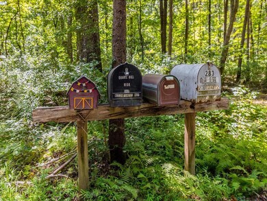 TBD Beech Forest Way, Pittsboro, NC 27312 - photo 6