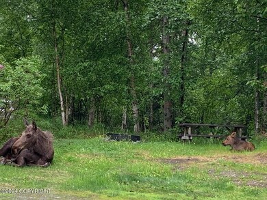 IMG_7427