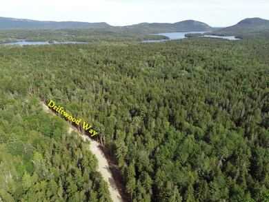 aerial 3, label