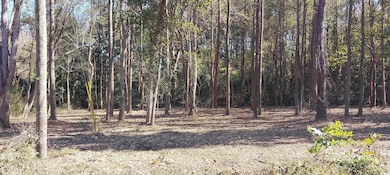 0 Millers Rd, Mullins, SC 29574 - photo 3