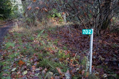 702 Chelsamish Dr, Sequim, WA 98382 - photo 7