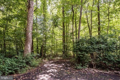 12310 Running Deer Rd, Manassas, VA 20112 - photo 5