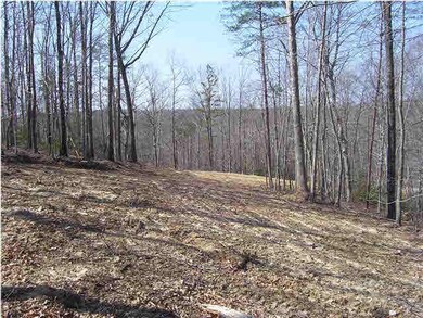 A view of the homesite