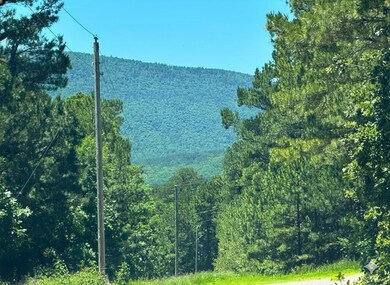 2388 SW 234th Rd, Tuskahoma, OK 74574 - photo 6