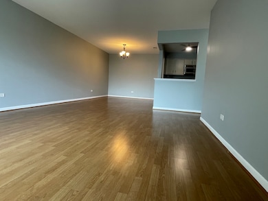 1018 Castilian Ct unit A205, Glenview, IL 60025 - photo 7