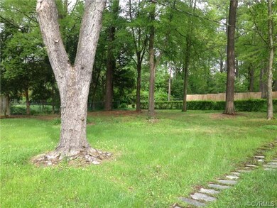 Backyard with slate walkway