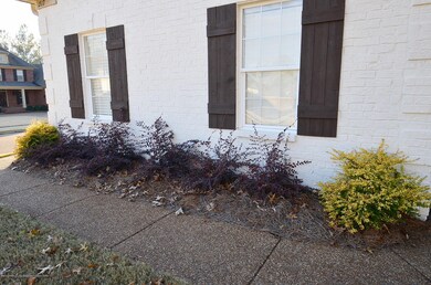 Landscaping front