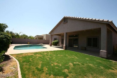 Large Back Yard, Grass and Swimming Pool