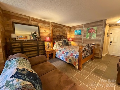 160 Whitney Blvd unit 52, Lake Lure, NC 28746 - photo 7