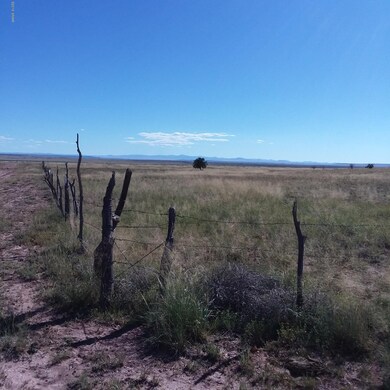 carrizo.317.e