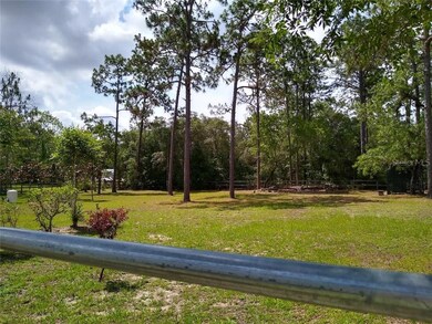 back yard