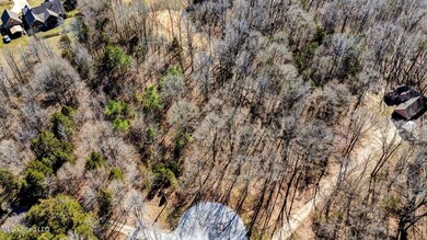 3-web-or-mls-DJI_20250310151334