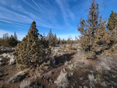 Resized_20220114_130315