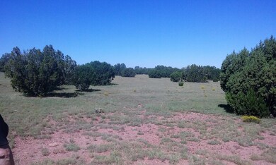 40 Acres