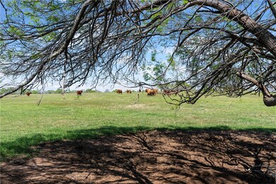 00 N Co Road 1050, Kingsville, TX 78363 - photo 5
