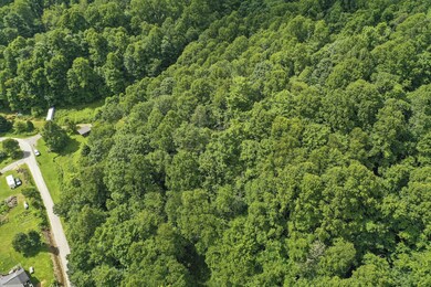 TBD Clarktown road Roan Mountain TN (5)