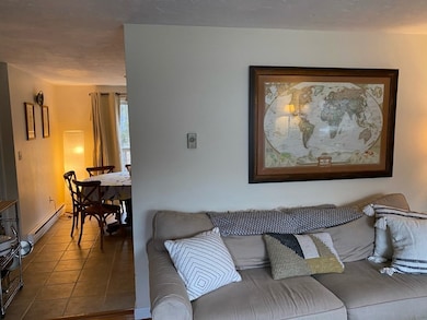 11 Cedar Square, Millis, MA 02054 - photo 6