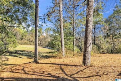 1631 Cunningham Dr, Helena, AL 35080 - photo 7