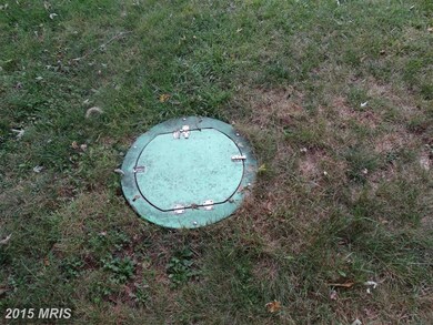 10725 Bower Ave, Williamsport, MD 21795 - photo 5