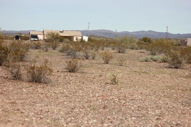IMG_6371