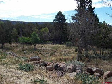 0 NE Ginters Grove Ln unit 684871, Cedaredge, CO 81413 - photo 5