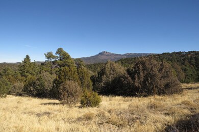6218 Oak Park Dr unit 25, Trinidad, CO 81082 - photo 2