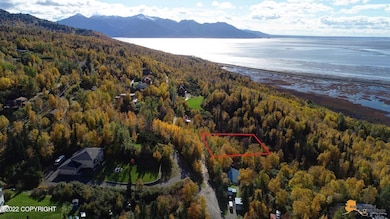 L10 Feodosia Dr, Anchorage, AK 99516 - photo 3