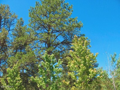 arizona_mountain_retreat_property_lot_wi
