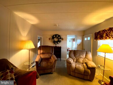 22025 Bunting Rd, Georgetown, DE 19947 - photo 6