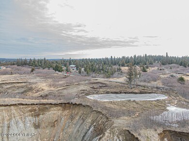 35835 Danver St, Anchor Point, AK 99556 - photo 4