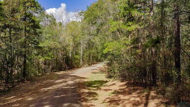 TBD Cr 162, Kilgore, TX 75662 - photo 7