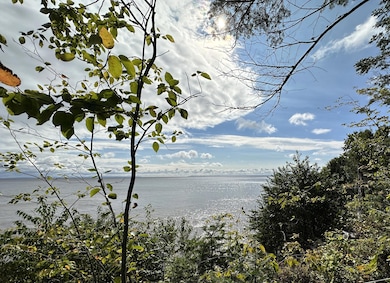 7492 Michigan 123 unit 7492, Eckerman, MI 49728 - photo 6