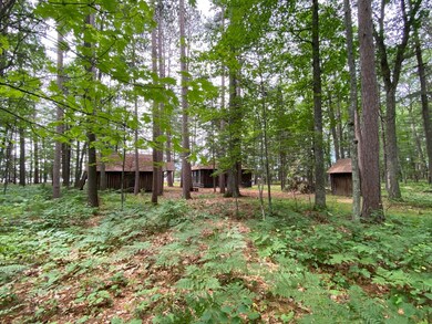 4605 Nelson Lake Ln, Boulder Junction, WI 54512 - photo 2