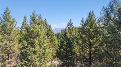 283 Belterra Ln, Big Fork, MT 59911 - photo 4
