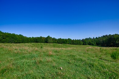 2 Earl Townsend Rd, Minor Hill, TN 38473 - photo 4