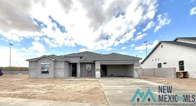 2518 Segovia Ct, Carlsbad, NM 88220 - photo 2