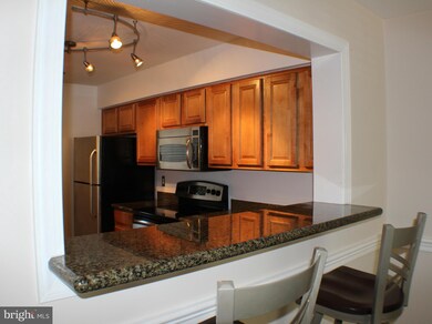 The Four Winds at Oakton unit 2-B1, Oakton, VA 22124 - photo 3