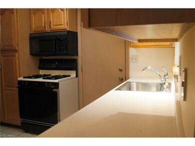 Kitchen View 1