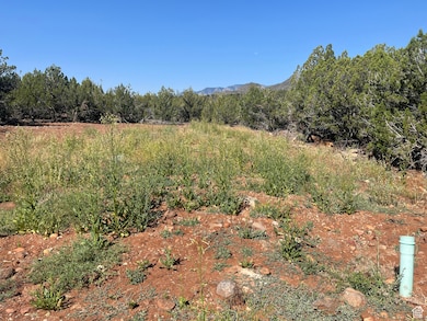 3842 S Canyon Cove unit 310, New Harmony, UT 84757 - photo 4