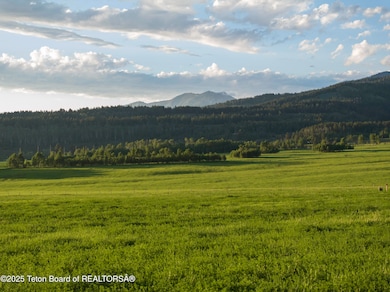 Web - Elk Flats-12
