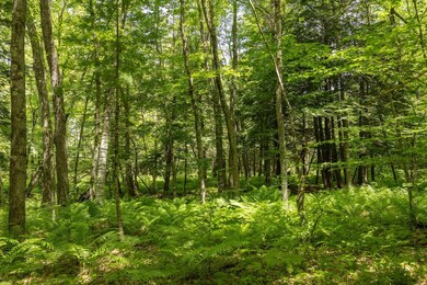 00 V/L W 13 Mile Rd unit Par E, Bitely, MI 49309 - photo 3