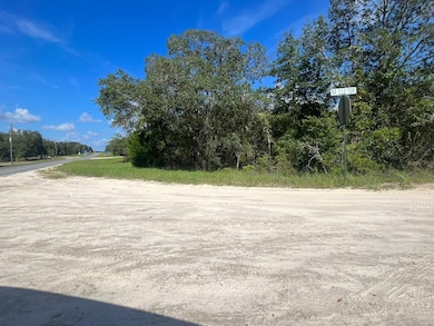 0 23-12-17 Oak Ridge Estates Blk 27 Lot 1 unit MFRT3474649, Williston, FL 32696 - photo 4