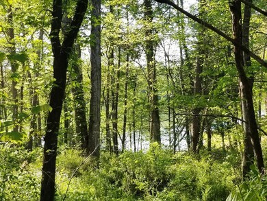 120 Inagehi Way, Loudon, TN 37774 - photo 4